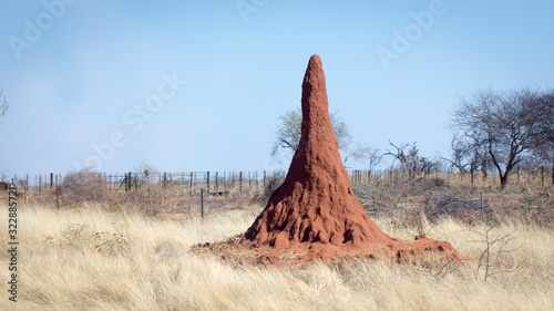 Photography Termitière géante de Namibie
