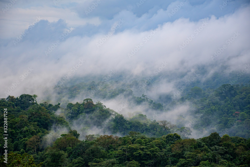 Mist over the valley and the rain forest in the morning, Costa rica
