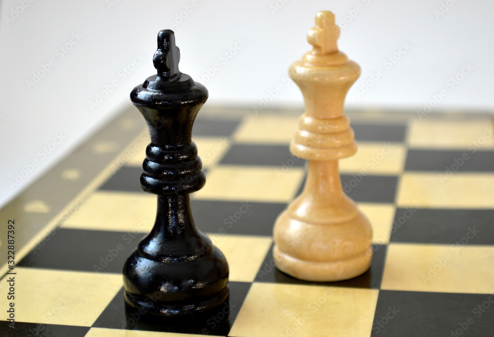 The black king versus white king on the chess board The black king versus white king on the chess board
