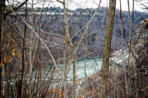 river and trees