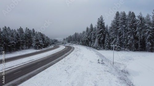 Curving highway roads cutting between two snow covered tree fields with fresh powder snow