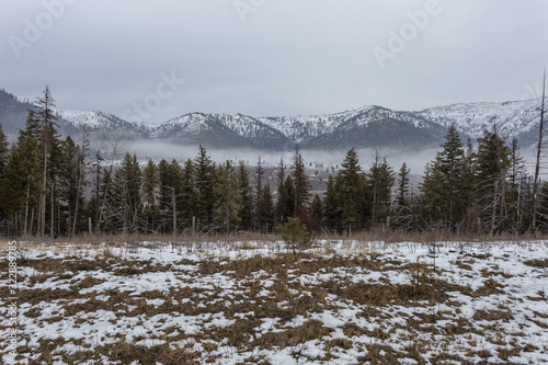 Patchy snow covering grass with vintage barb wire fence and tall evergreen trees in front of a snow capped mountain range