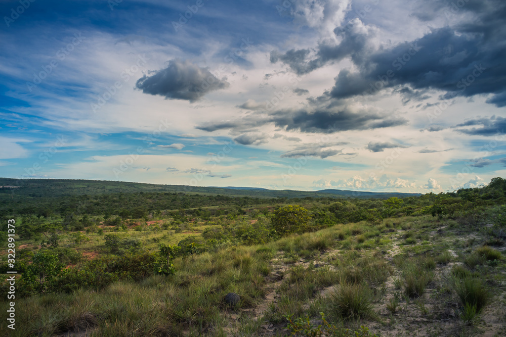Rural landscape in Minas Gerais, Brazil, featuring cerrado vegetation under a blue sky with some clouds. Rural landscape in Minas Gerais, Brazil, featuring cerrado vegetation under a blue sky with some clouds.