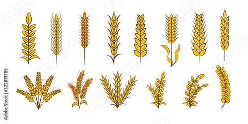 Wheat vector set collection graphic clipart design