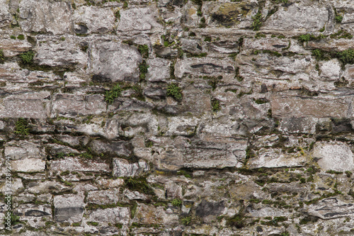 seamless texture of an old gray stone wall covered with moss for the designer