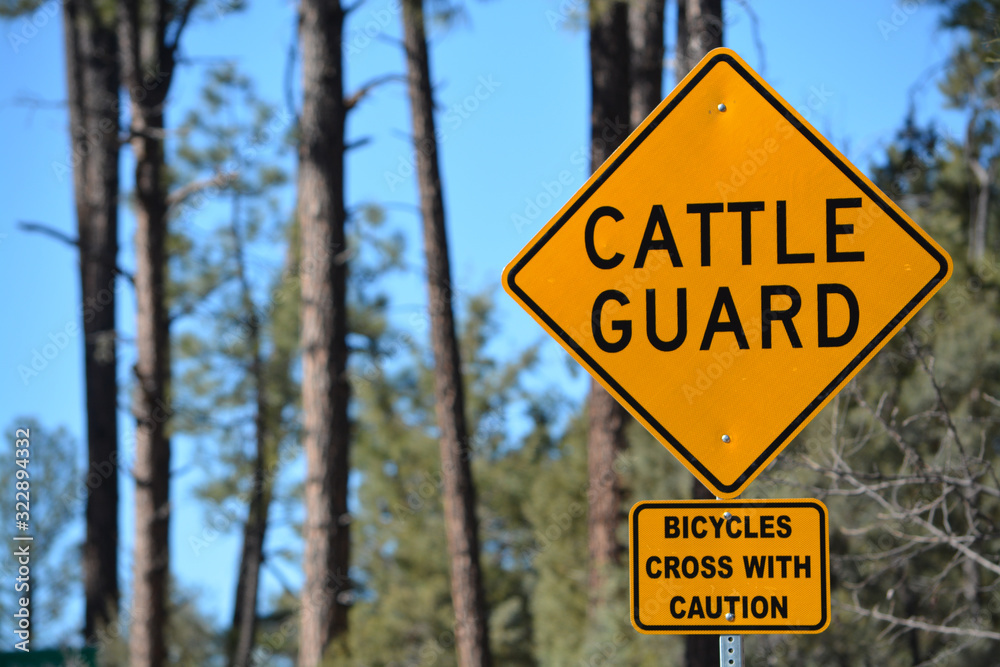Cattle Guard warning sign and Bicycles Cross with Caution Sign. Gila County, Tonto National Forest, Arizona USA