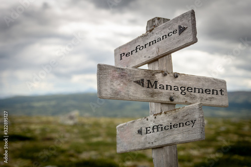 performance  management and efficiency on wooden road sign outdoors in nature.