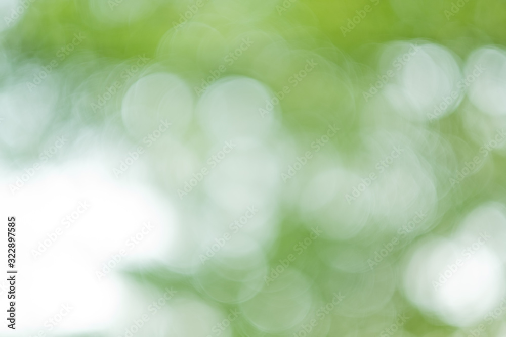 Obraz premium bokeh background, green leave blur background