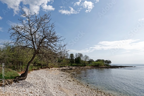 Kroatien - Rovinj - Küste photo