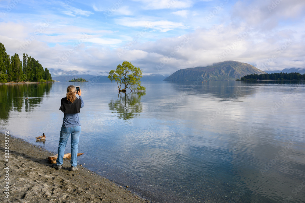 A young female tourist using a mobile phone to take a picture of the Wanaka tree in the water In the morning of summer, the blue sky and clouds reflected the still water at wanaka lake in New Zealand