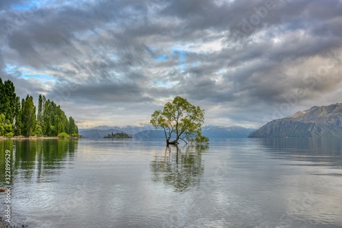 The Wanaka tree that is solitary in the water is reflected in the clear water like a mirror. In the morning of summer with the dramatic clouds sky at Lake Wanaka, Otago, New Zealand