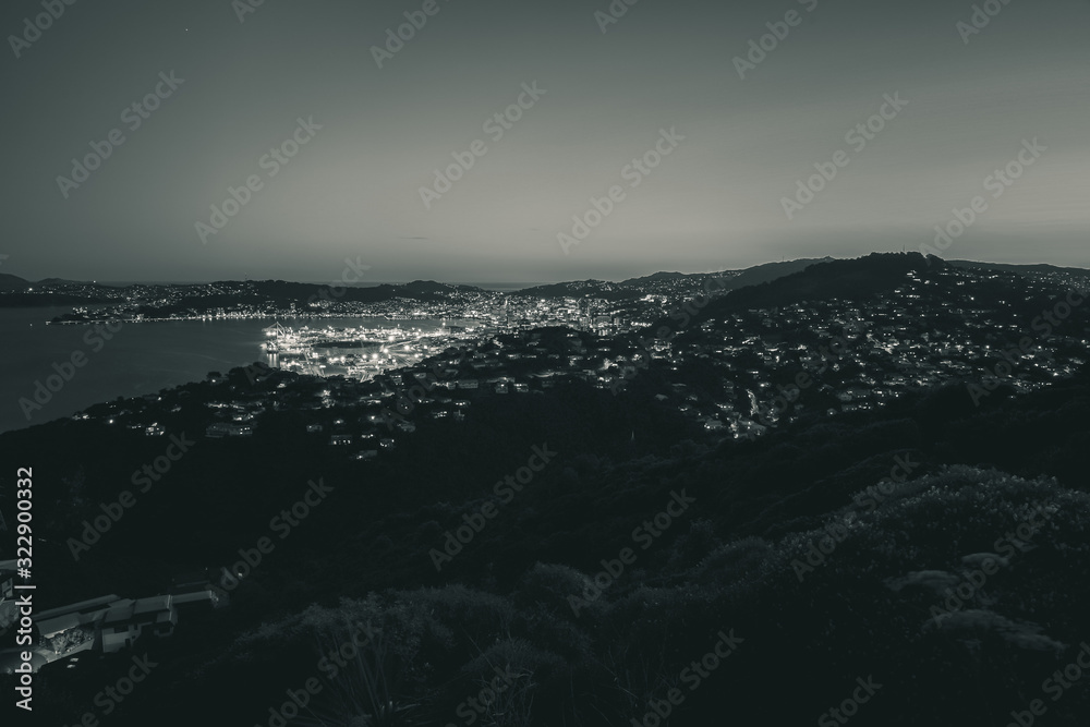 Wellington harbor cityscape at night after sunset; black and white style