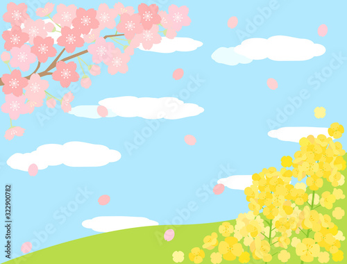 春素材15　桜　菜の花