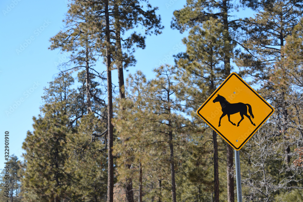 Free roaming horses caution sign. Payson, Gila County, Tonto National Forest, Arizona USA Free roaming horses caution sign. Payson, Gila County, Tonto National Forest, Arizona USA