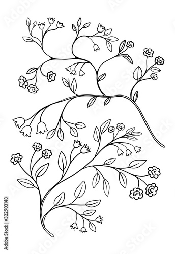 Hand drawn flat decorative flowers. Vector plants elements for design, web design, textile, ceramics, wrapping, wallpaper, cover