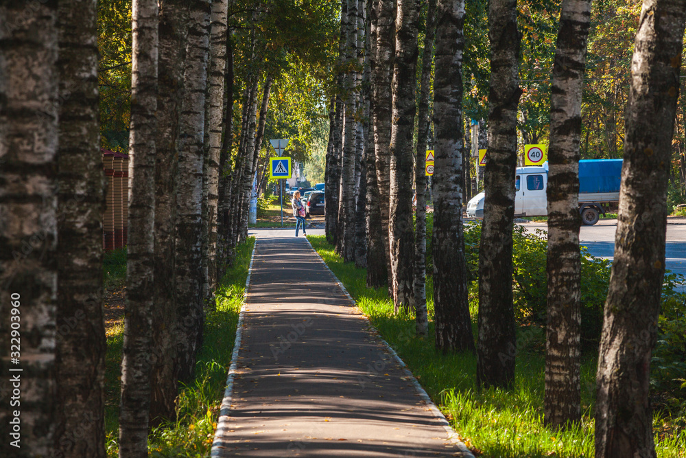 Obraz premium Yoshkar-Ola, Russian Federation - 09/08/2015: Asphalt sidewalk and birch avenue on Osipenko street near the republican hospital building in sunny day. Focus on a distance, in the center of a shot