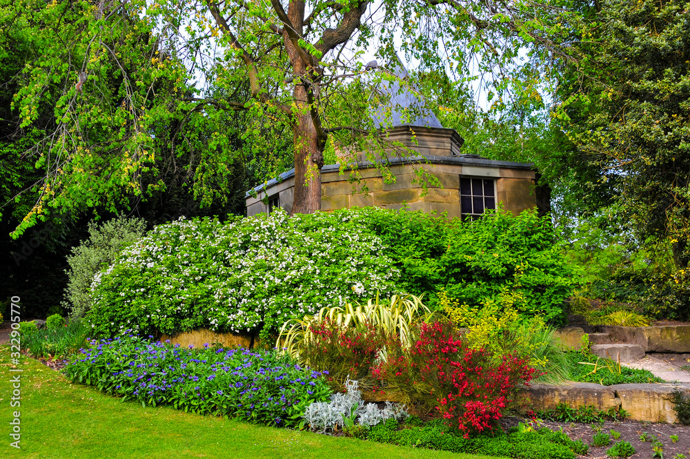 Flowers in York