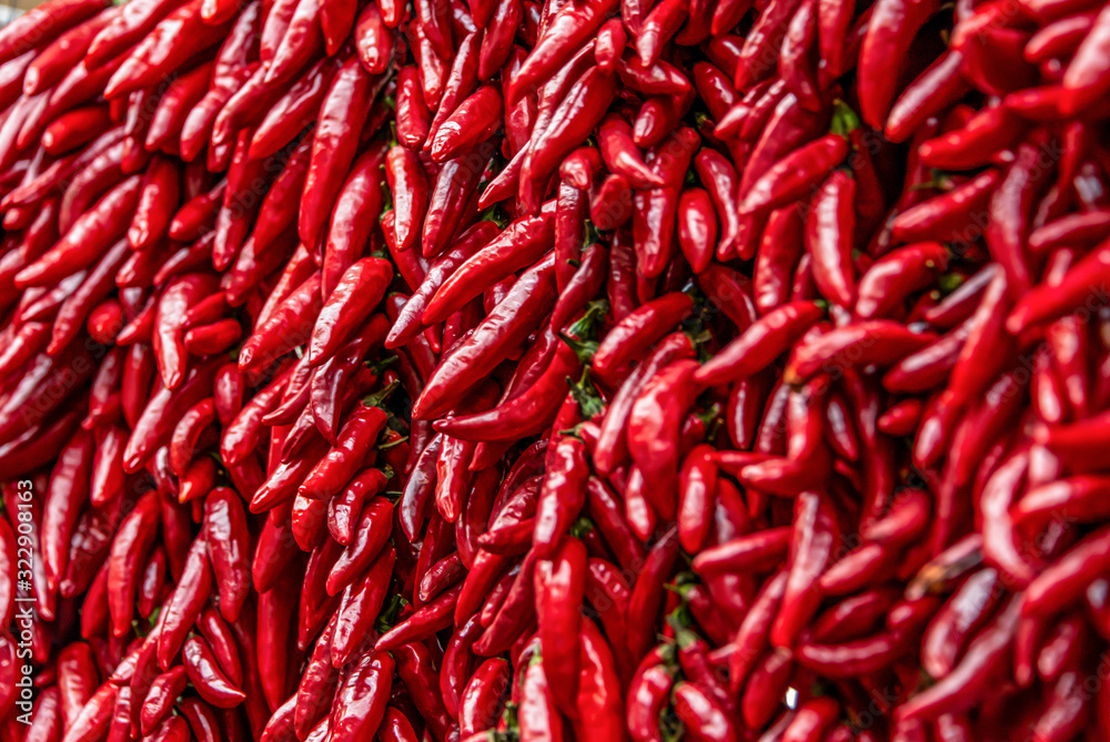 Close up view of hanging hot dried chili peppers on the local farmers market Mercado dos Lavradores in Funchal Madeira