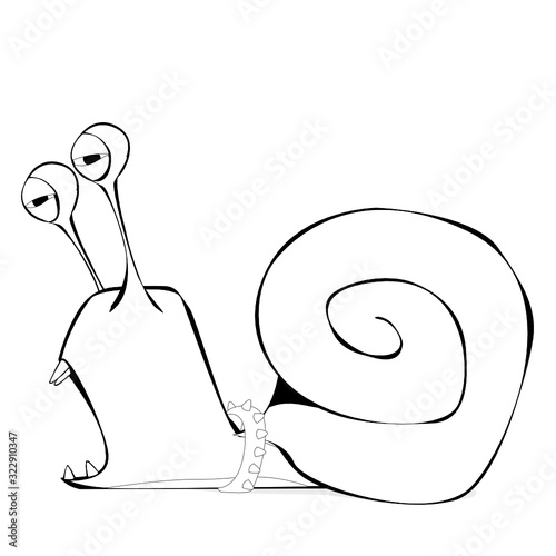 Wild Slug