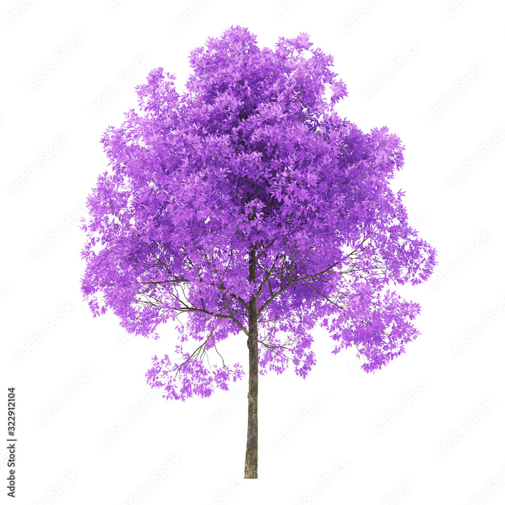 Obraz premium Tree on a white background. Tree with purple foliage. Clipping path included. 3D rendering.
