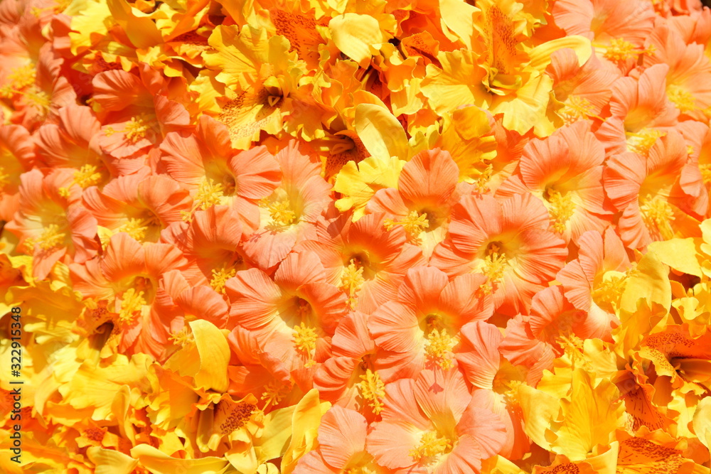Bright and beautiful colors of plastic flowers. Bright and beautiful colors of plastic flowers.