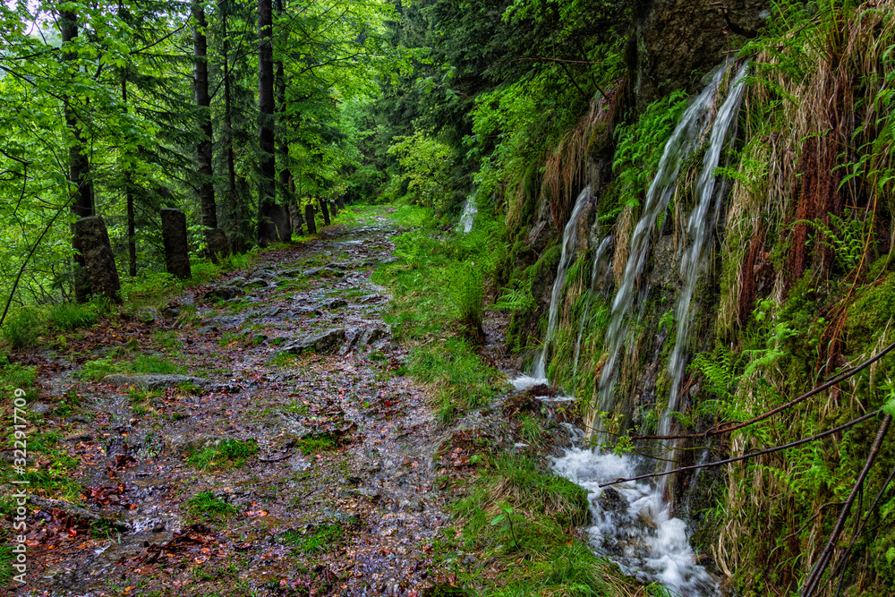 Mountain stream. Mountain nature with stones and stream. Mountain stream. Mountain nature with stones and stream.