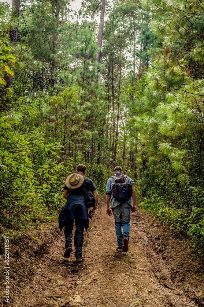 Dos hombres caminan por el bosque