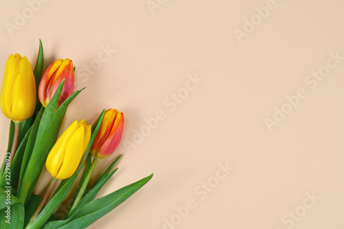Fototapeta Naklejka Na Ścianę i Meble -  Bouquet of yellow and orange tulip spring flowers in corner of cream colored background with blank copy space