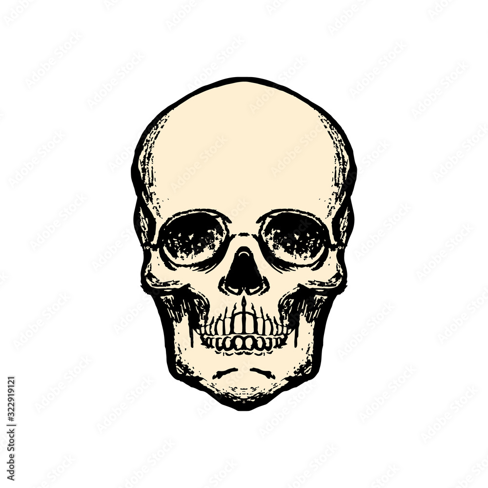 Illustration of human skull in vintage style. Design element for logo, label, sign, emblem, poster.