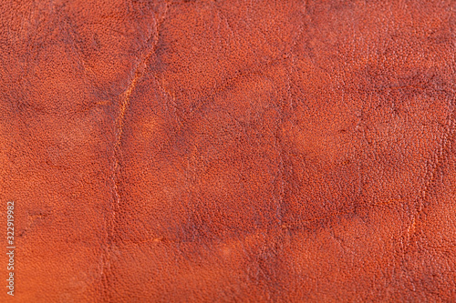 Wallpaper Mural Genuine Brown leather detail Torontodigital.ca