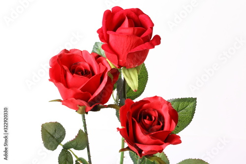 Bouquet of beautiful red roses on white background