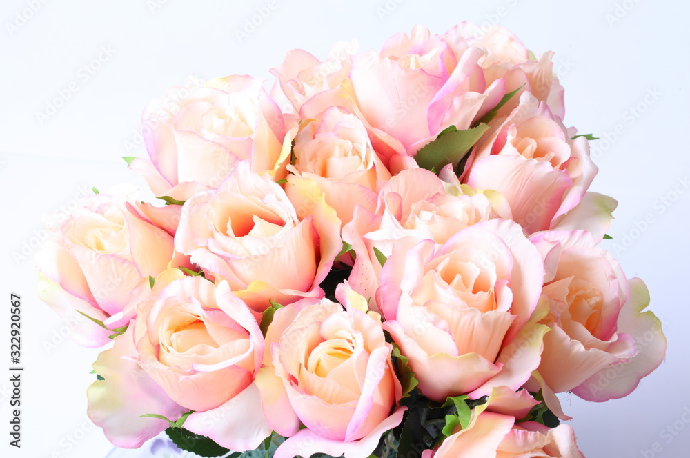 Bouquet of beautiful roses on white background