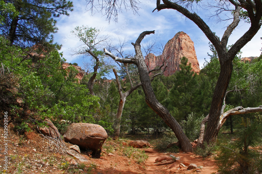 Hiking the middle taylor creek trail in the Kolob Canyons portion of Zion National Park, Utah Hiking the middle taylor creek trail in the Kolob Canyons portion of Zion National Park, Utah