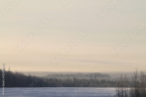 Winter nature landscape with snowy field, forest and gray sky