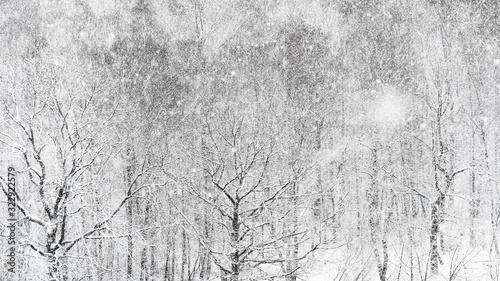 view of heavy snowfall over forest in winter