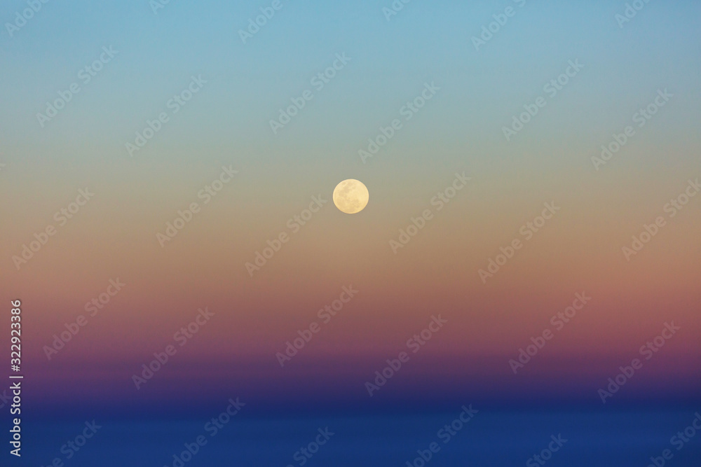 Moon Moon