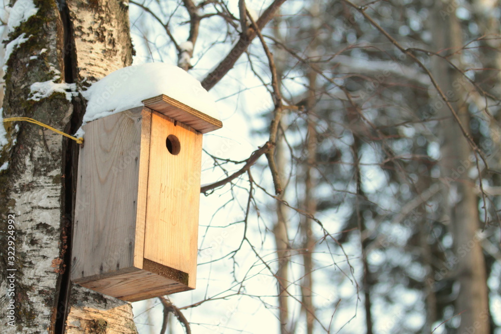 Wooden birdhouse hanging on tree in park on clear winter day