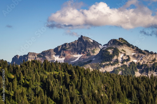 Mountains  Trees  and Clouds at Mt. Rainier National Park  Washington