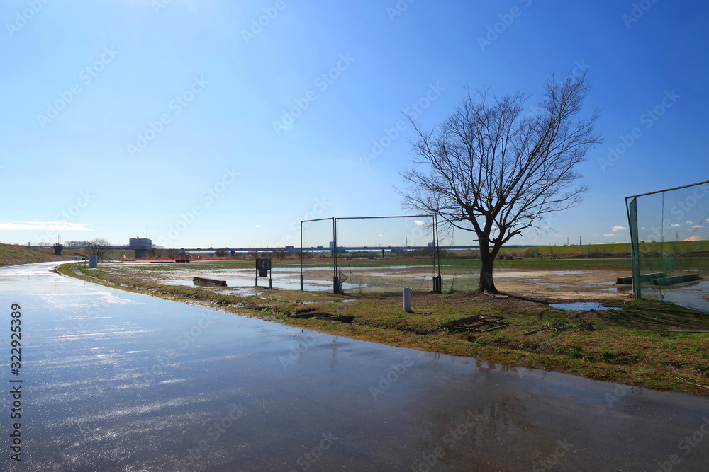 雨上がりの早春の江戸川河川敷と濡れた舗道風景