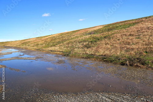雨上がりの早春の江戸川土手風景