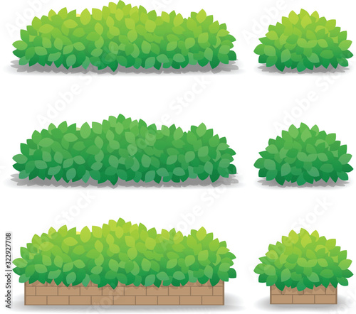 Green bushes isolated on white background, outdoor potted plants. Vector Illustration.