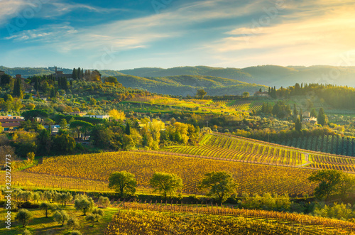 Panzano in Chianti vineyard and panorama at sunset. Tuscany  Italy