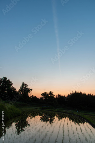 夜明けの青い空と水田と飛行機雲