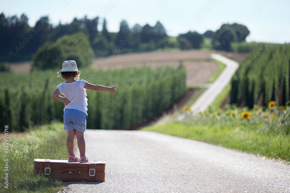 A little girl with a suitcase on a road between two fields