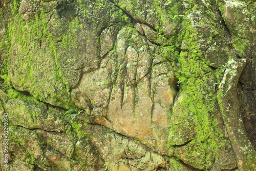 Passing of time concept. Pioneering lichen growth on bare rock crack and cranny surface, lichens are adapted to survive in harsh environmental conditions