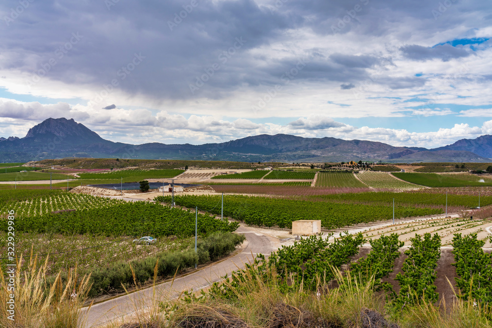 Landscape view of Cieza near Murcia in Spain Landscape view of Cieza near Murcia in Spain