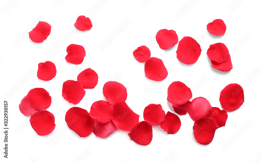 Fresh red rose petals on white background, top view Fresh red rose petals on white background, top view