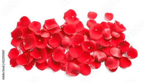 Pile of red rose petals on white background, top view