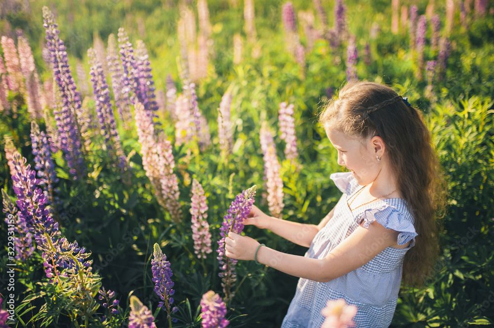 Fototapeta premium Cute girl in a field of purple flowers