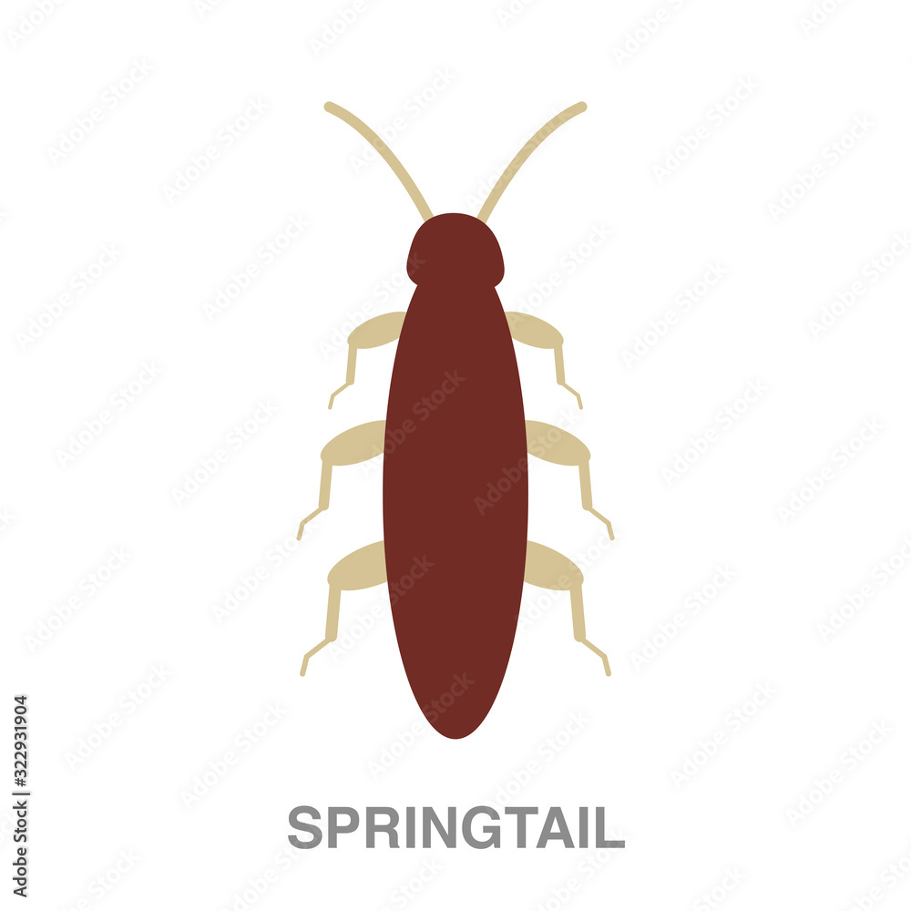 springtail flat icon on white transparent background. You can be used black ant icon for several purposes.	